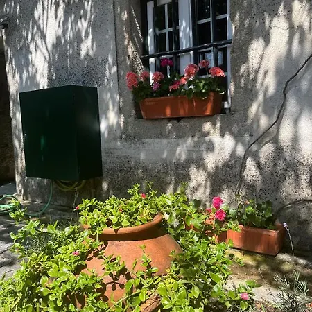 Planalto Dourado Farm stay