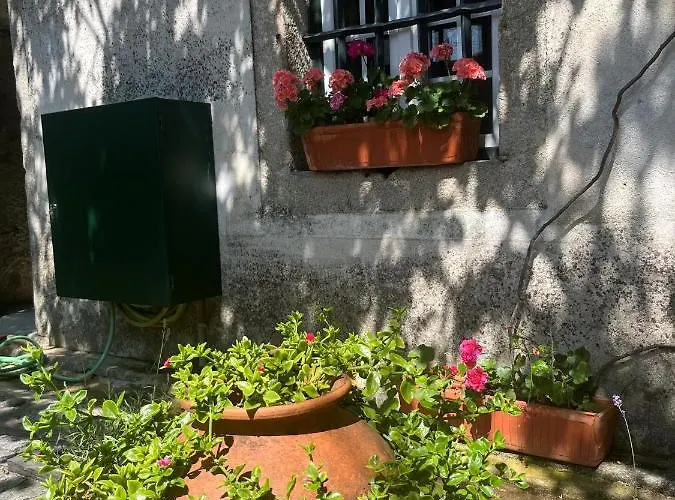 Planalto Dourado مزرعة للإقامة